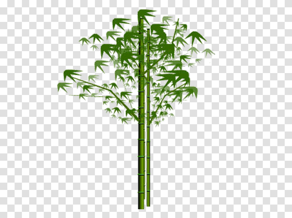 Portable Network Graphics, Plant, Cross, Tree Transparent Png