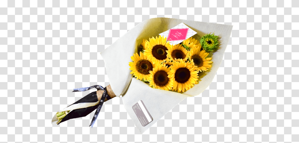 Portable Network Graphics, Plant, Flower, Blossom, Sunflower Transparent Png