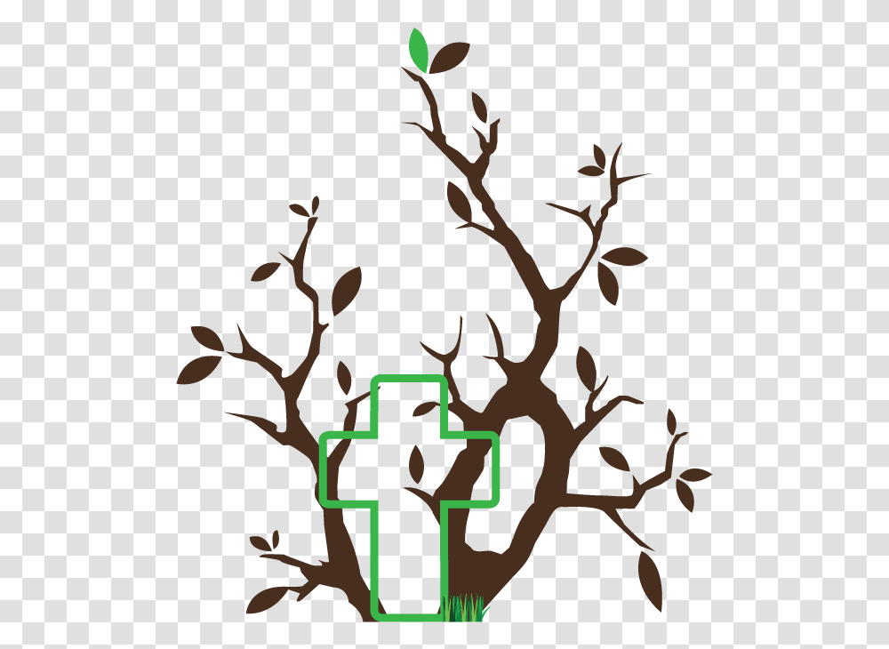 Portable Network Graphics, Plant, Flower, Blossom, Tree Transparent Png