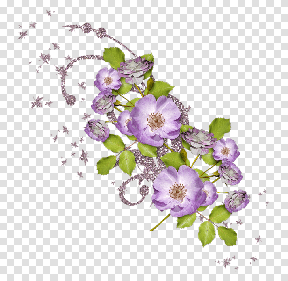 Portable Network Graphics, Plant, Flower, Floral Design, Pattern Transparent Png