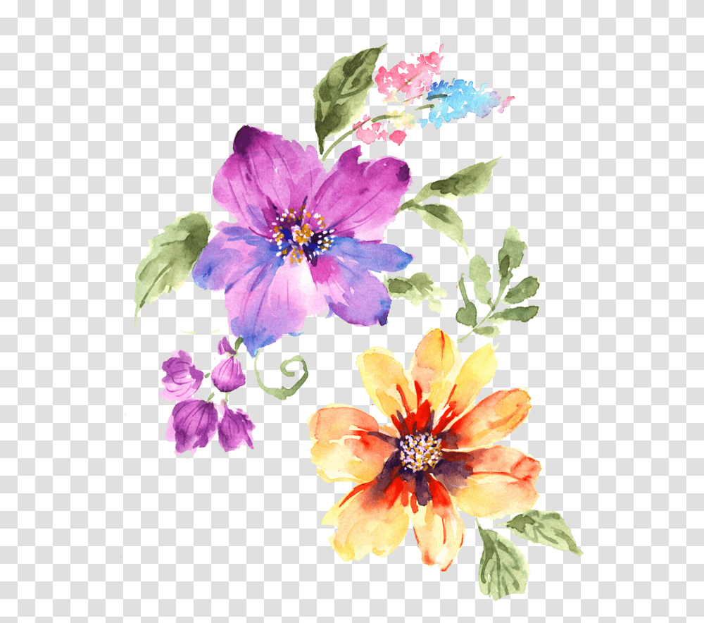 Portable Network Graphics, Plant, Flower, Floral Design, Pattern Transparent Png