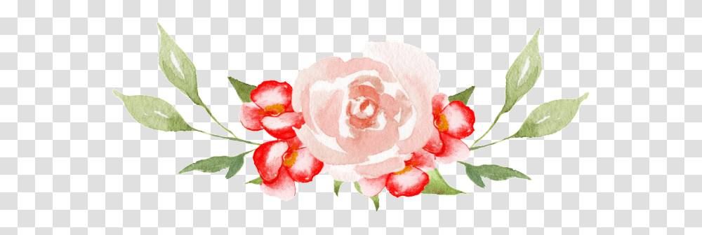 Portable Network Graphics, Plant, Flower, Petal, Rose Transparent Png