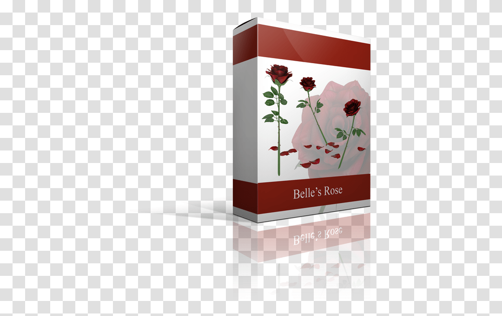 Portable Network Graphics, Plant, Herbal, Herbs, Planter Transparent Png