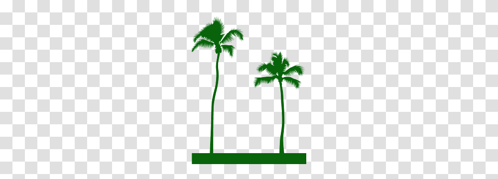 Portable Network Graphics, Plant, Tree, Palm Tree, Arecaceae Transparent Png