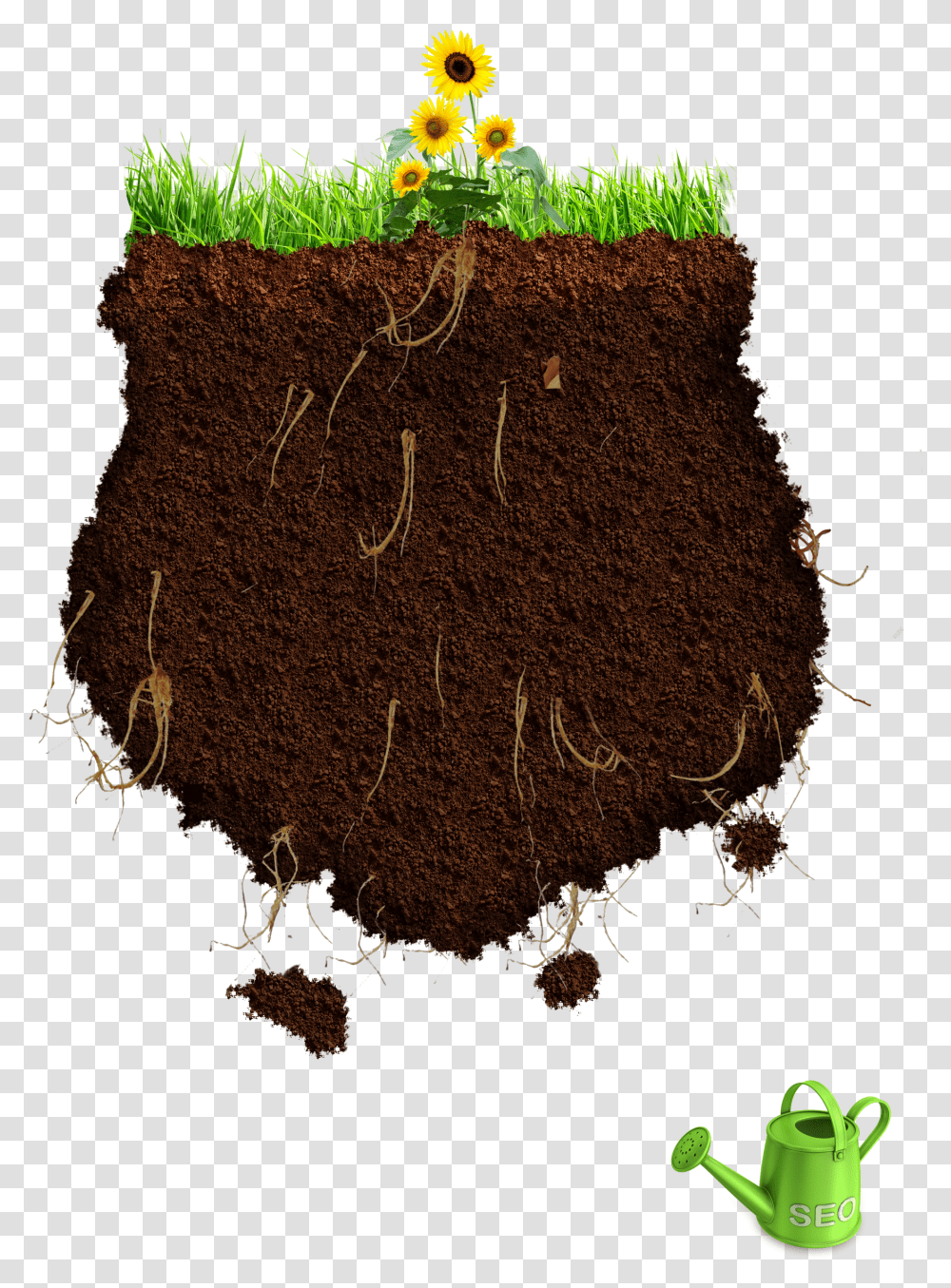 Portable Network Graphics, Soil, Plant, Root, Pillow Transparent Png