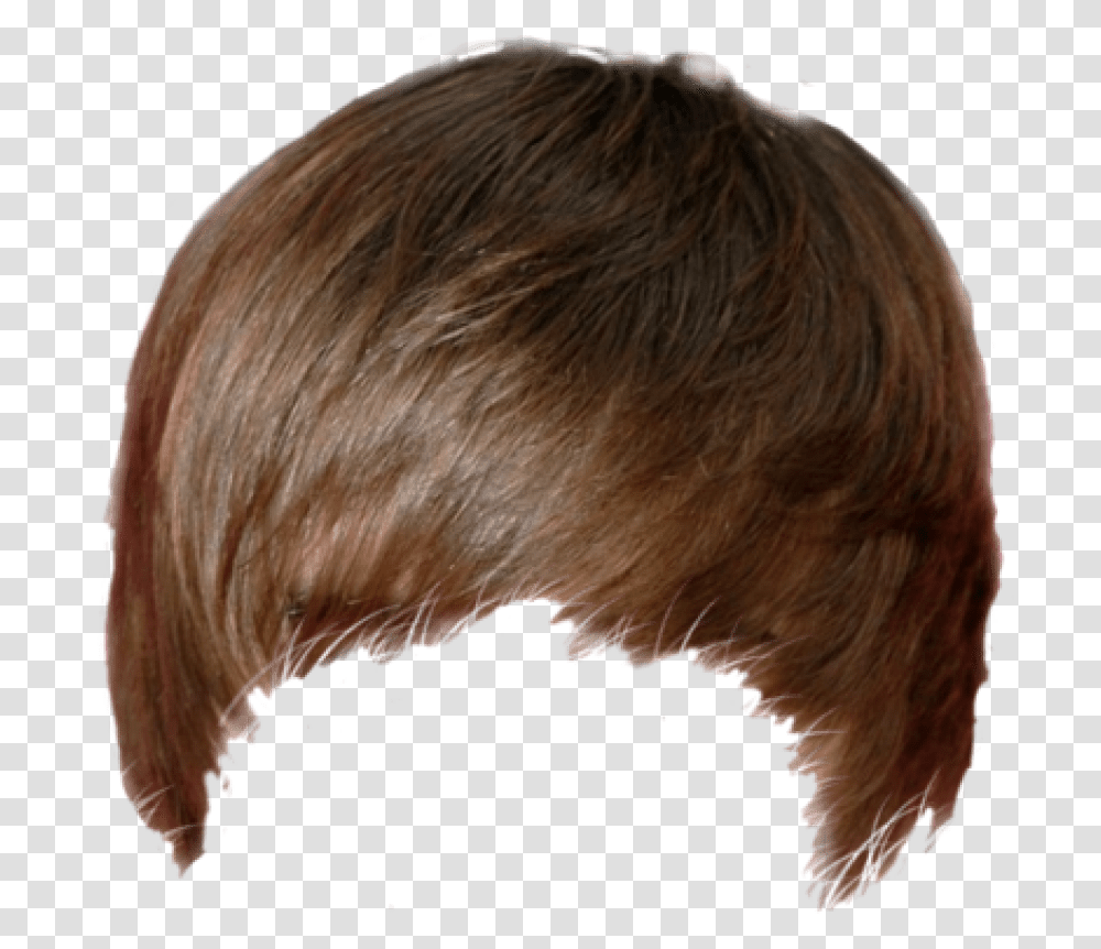 Portable Network Graphics Transparency Hairstyle Image Justin Bieber Hair, Kiwi Bird, Animal, Beak, Head Transparent Png