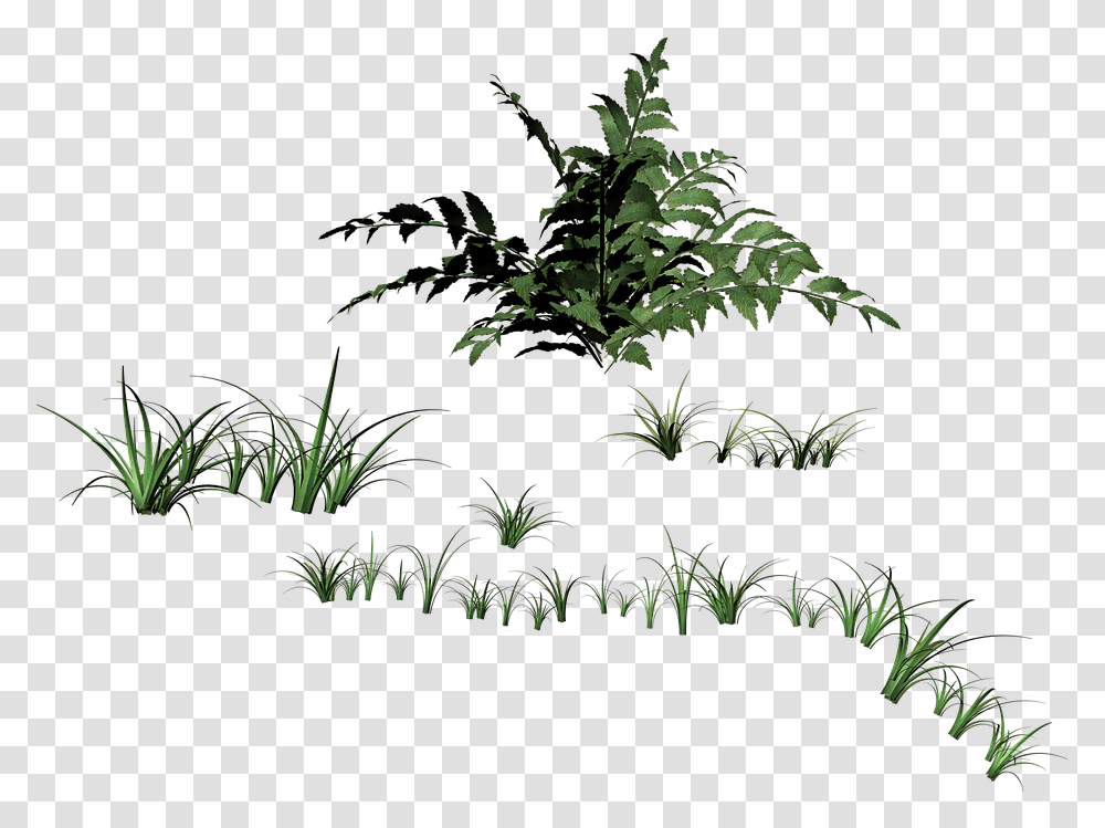 Portable Network Graphics, Vegetation, Plant, Bush, Leaf Transparent Png