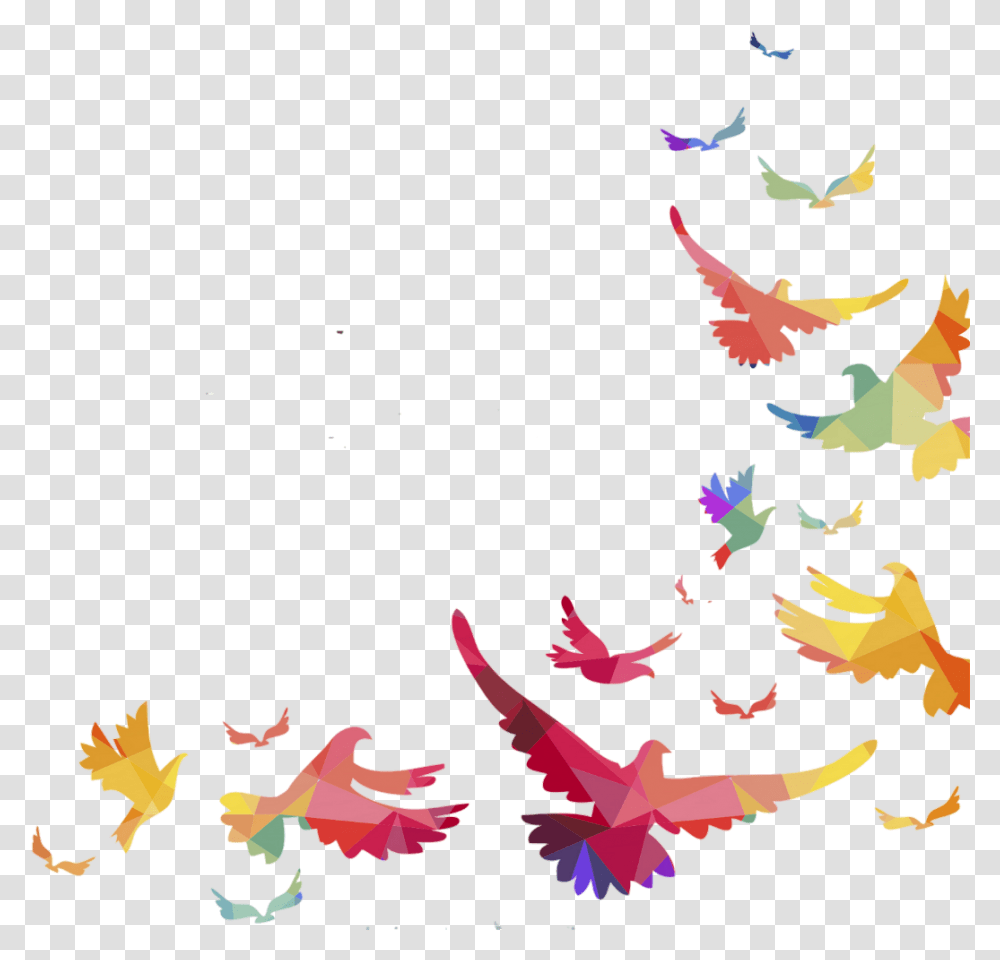 Portable Parrot Lovebird Vector Graphics Bird Network Bird Border, Paper, Floral Design, Pattern Transparent Png