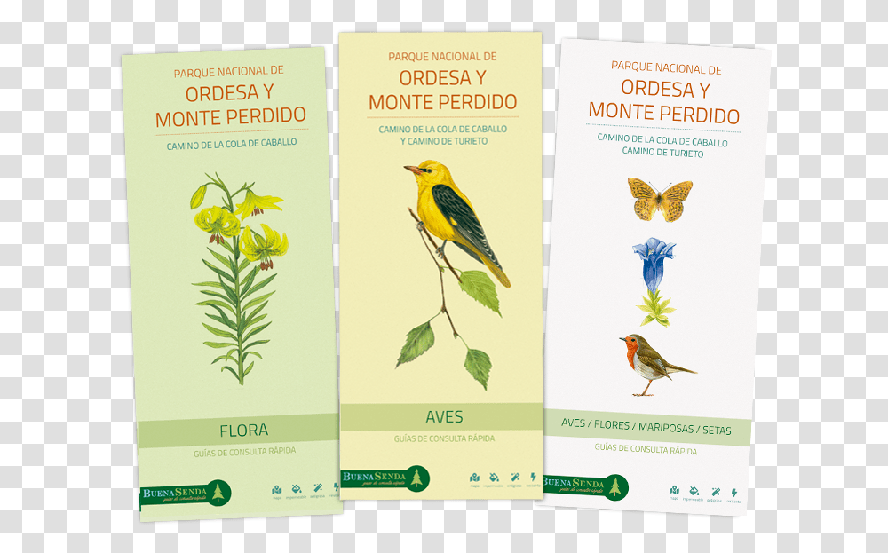 Portadas De Guas De Ordesa Y Monte Perdido Finch, Advertisement, Poster, Flyer, Paper Transparent Png