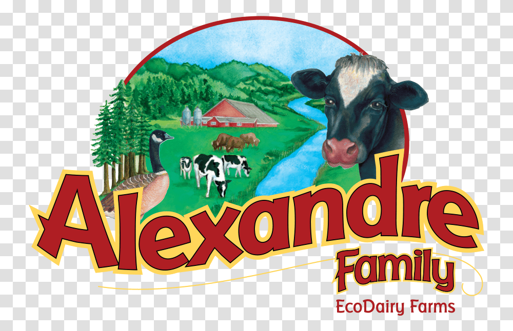 Portfolio 6alexanderfarmslogo4 Graphic Regime Brand Alexandre Dairy, Cow, Cattle, Mammal, Animal Transparent Png