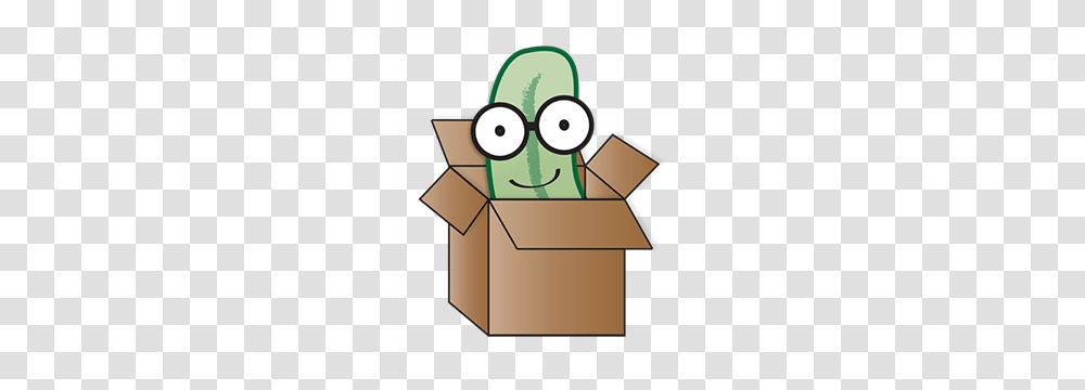 Portfolio Nerd Pickle, Cardboard, Box, Carton, Package Delivery Transparent Png