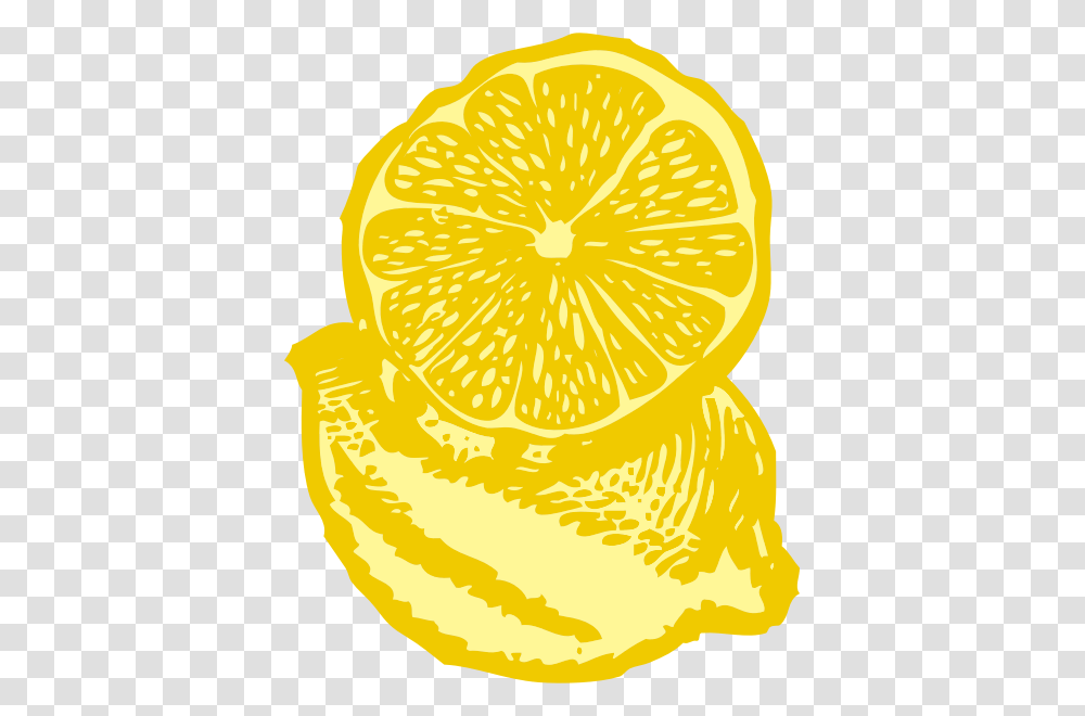 Portion Images Clipart Lemon Illustration, Citrus Fruit, Plant, Food, Fungus Transparent Png