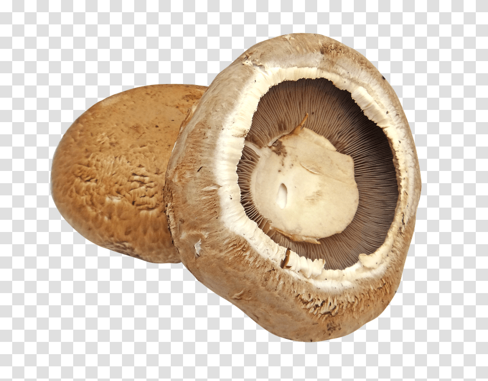 Portobello Mushroom Portabello Mushroom With Background, Plant, Fungus, Agaric, Amanita Transparent Png