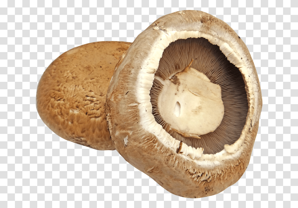 Portobello Portobello Mushroom Background, Plant, Agaric, Fungus, Amanita Transparent Png