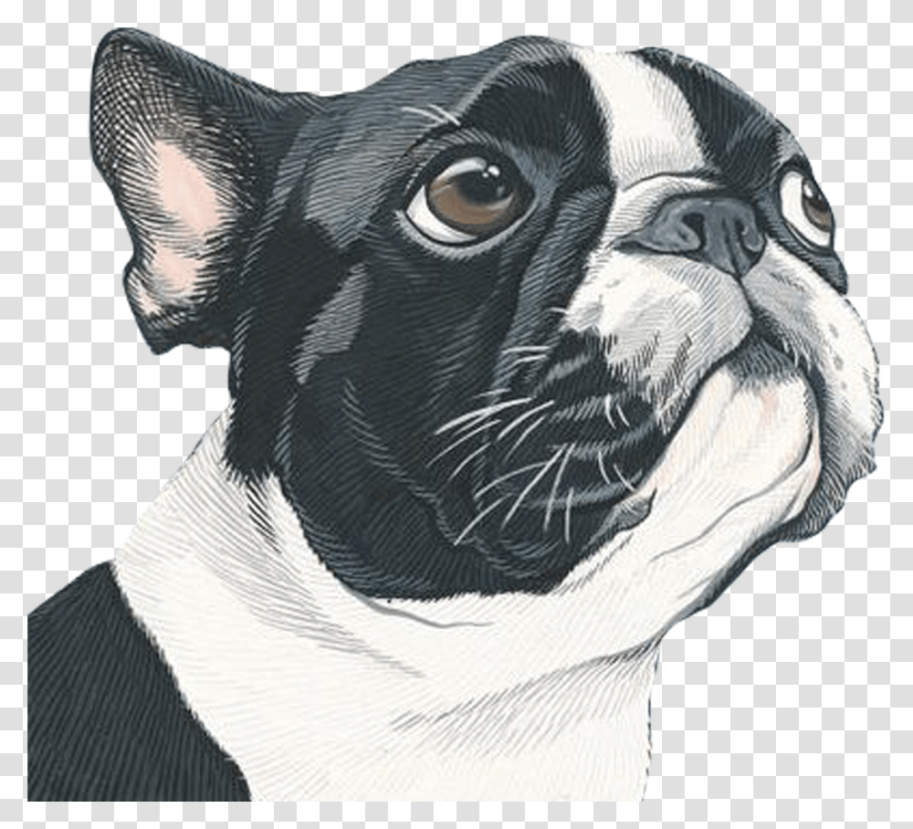 Portrait Art Painting Dog Illustration Free Download Artby Manda Transparent Png