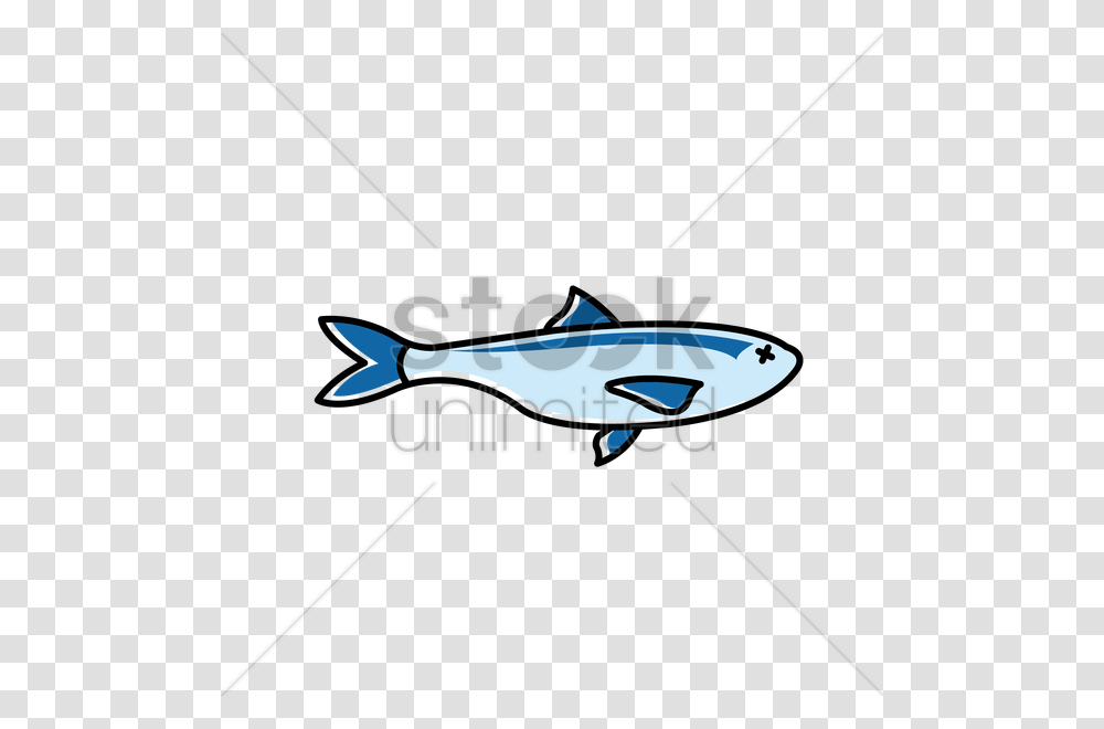 Portugal Sardines Vector Image, Tuna, Sea Life, Fish, Animal Transparent Png