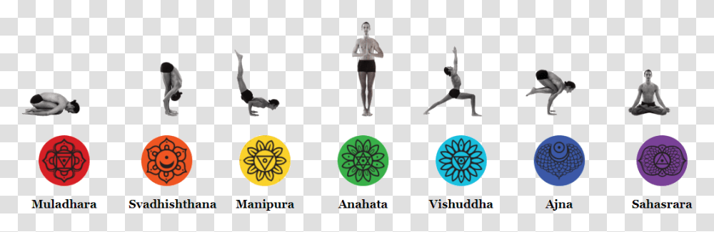 Poses Chakra Yoga Poses Pdf, Person, Bird, Penguin, Working Out Transparent Png