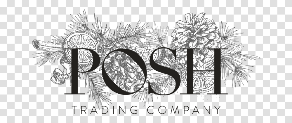 Posh Trading Company Illustration, Tree, Plant Transparent Png