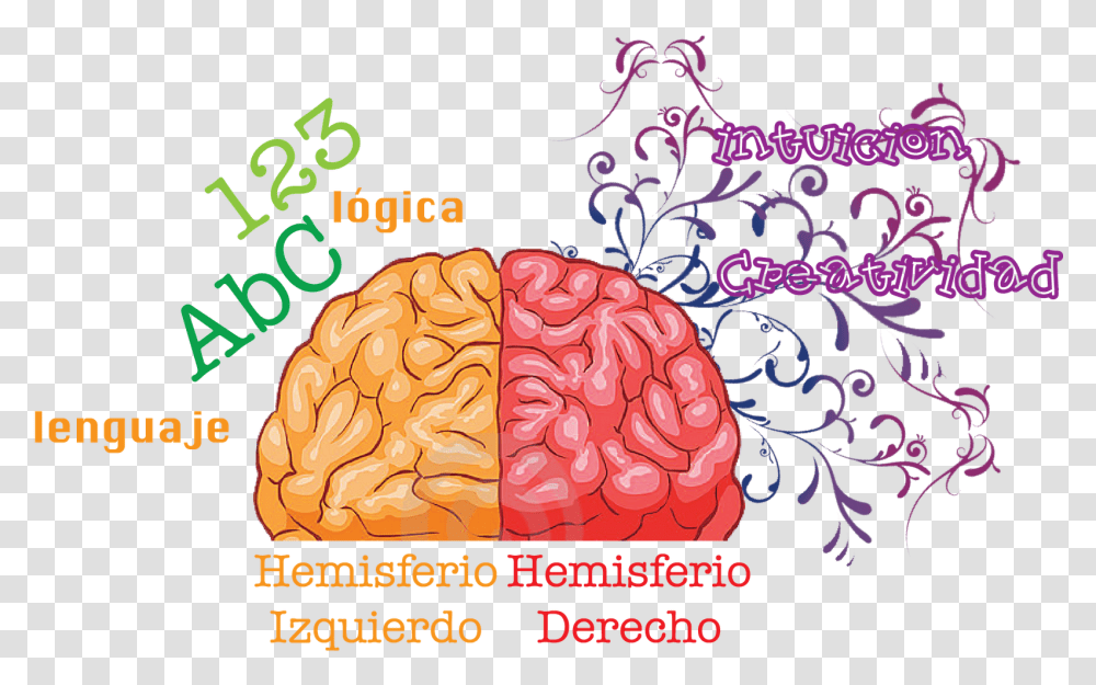 Posicionamiento Web Asturias Human Brain, Plant, Food Transparent Png