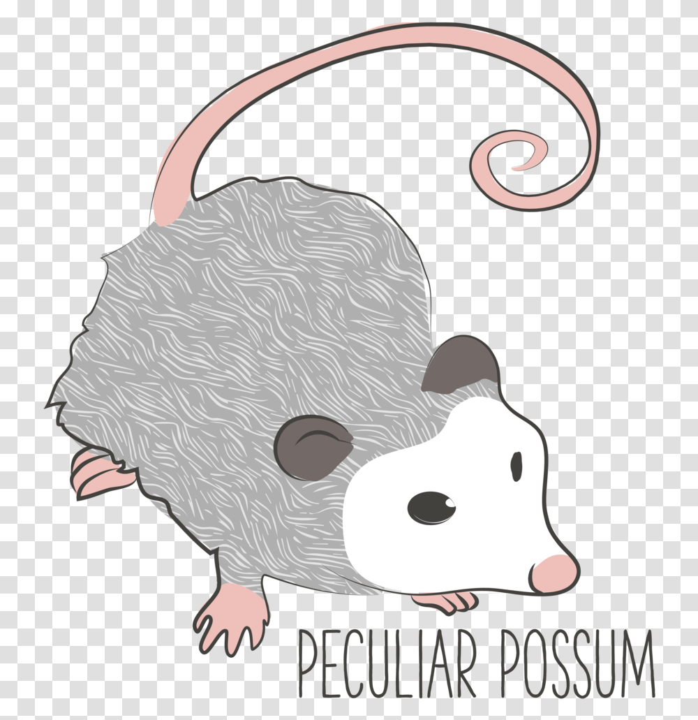 Possum 01 Rat, Animal, Mammal, Kiwi Bird, Mole Transparent Png