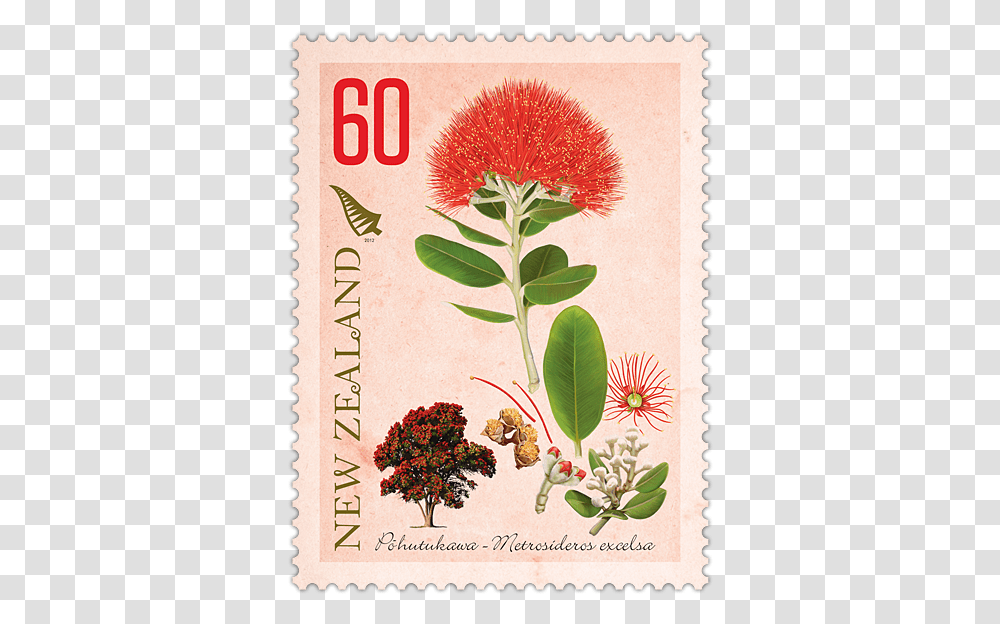 Post Card Stamp For New Zealand, Postage Stamp Transparent Png
