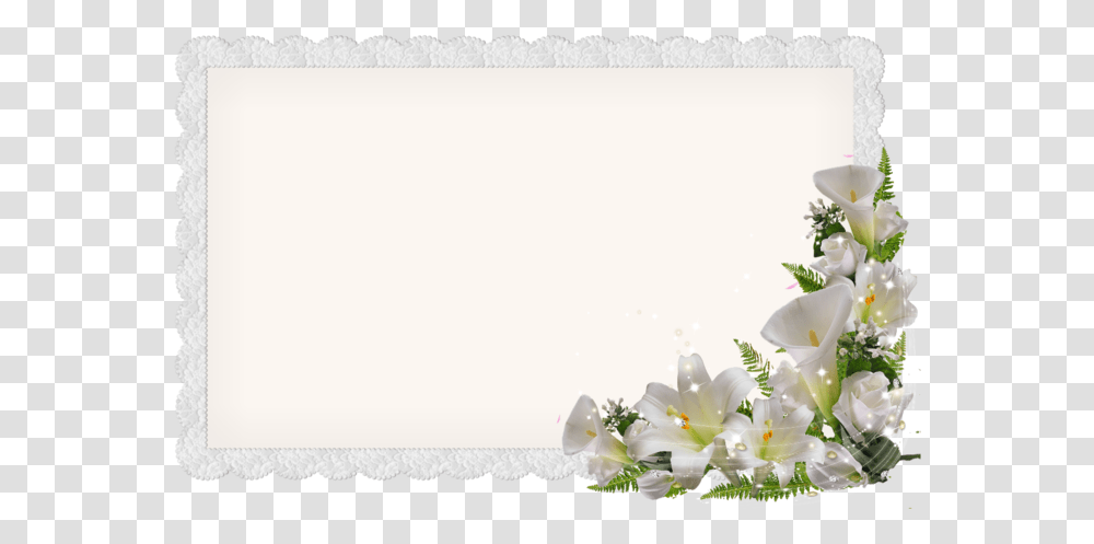 Postcard Easter Lily, Plant, Flower, Rug, Flower Arrangement Transparent Png