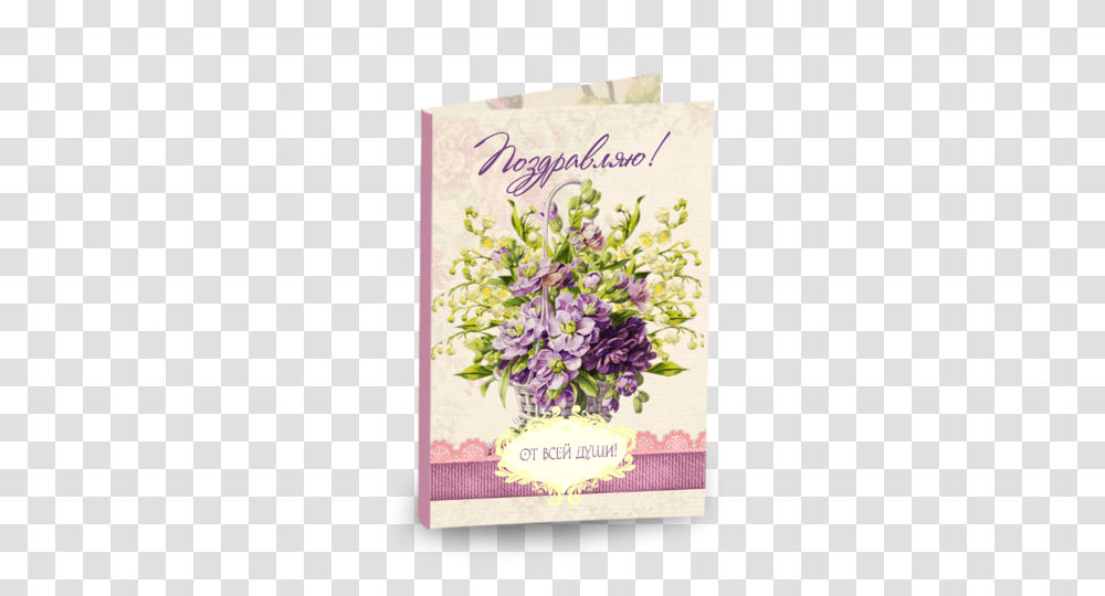 Postcard, Envelope, Mail, Greeting Card Transparent Png