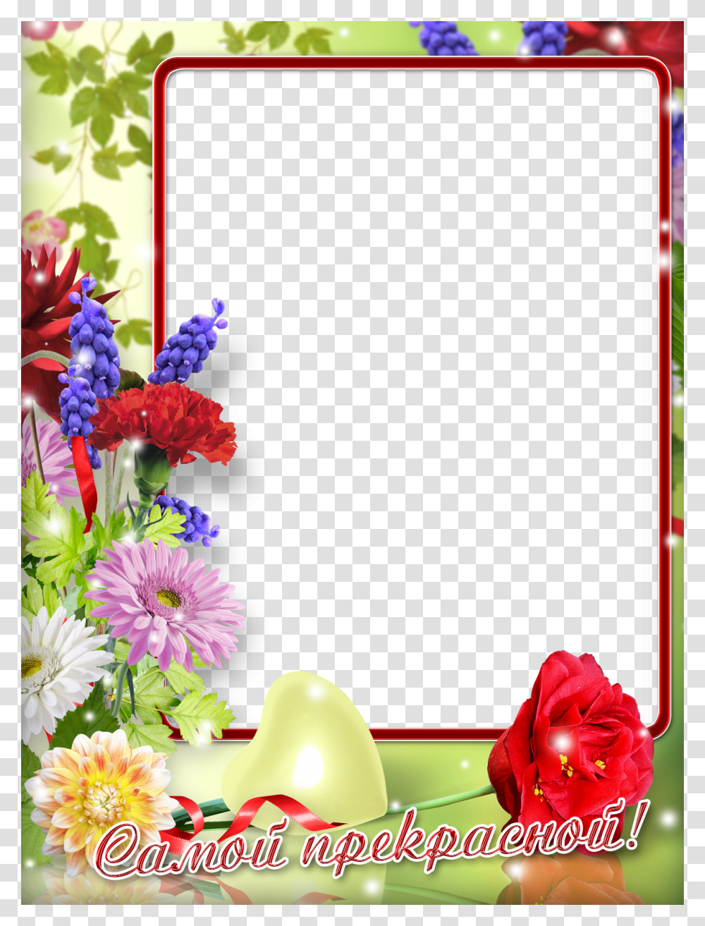 Postcard, Plant, Flower, Blossom, Flower Arrangement Transparent Png