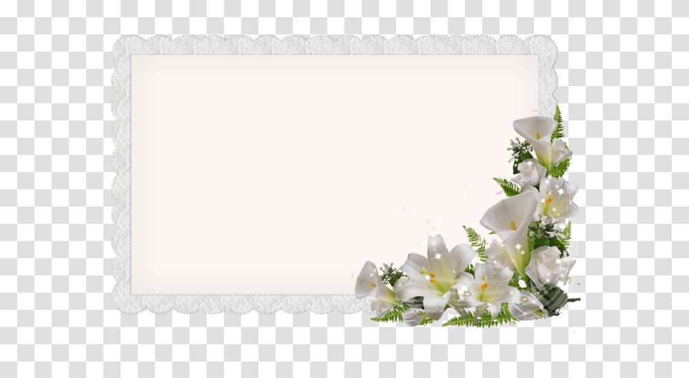 Postcard, Plant, Flower, Blossom, Flower Arrangement Transparent Png