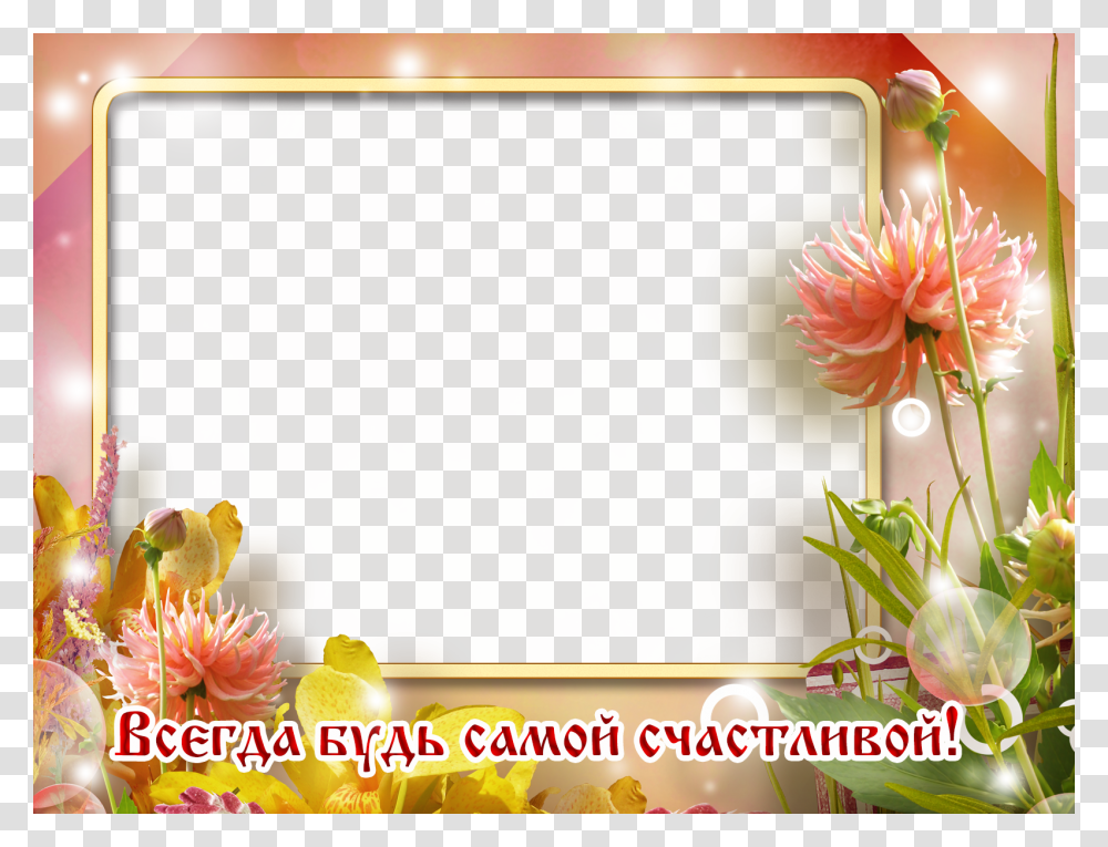 Postcard, Plant, Flower, Dahlia, Petal Transparent Png