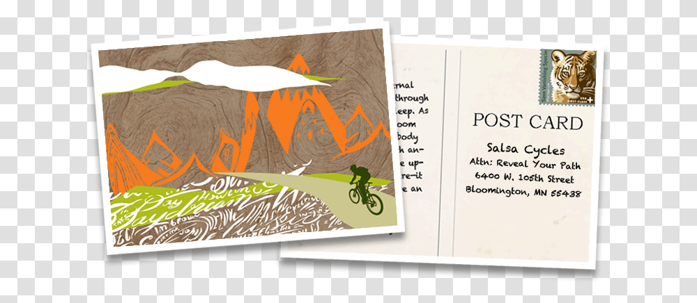 Postcard, Tiger, Animal, Paper Transparent Png