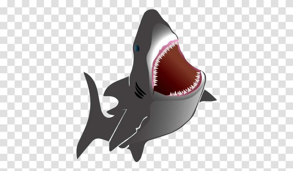 Posted Image Shark, Sea Life, Fish, Animal, Teeth Transparent Png