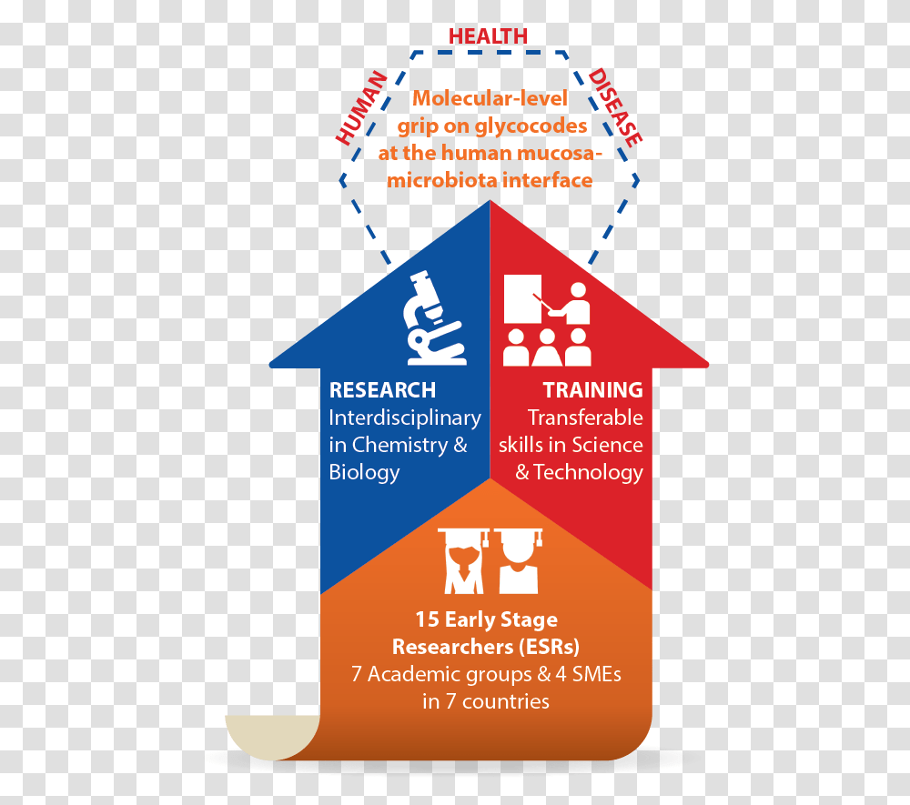 Poster, Advertisement, Flyer, Paper, Brochure Transparent Png