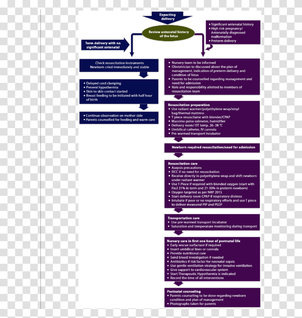 Poster, Advertisement, Flyer, Paper, Brochure Transparent Png