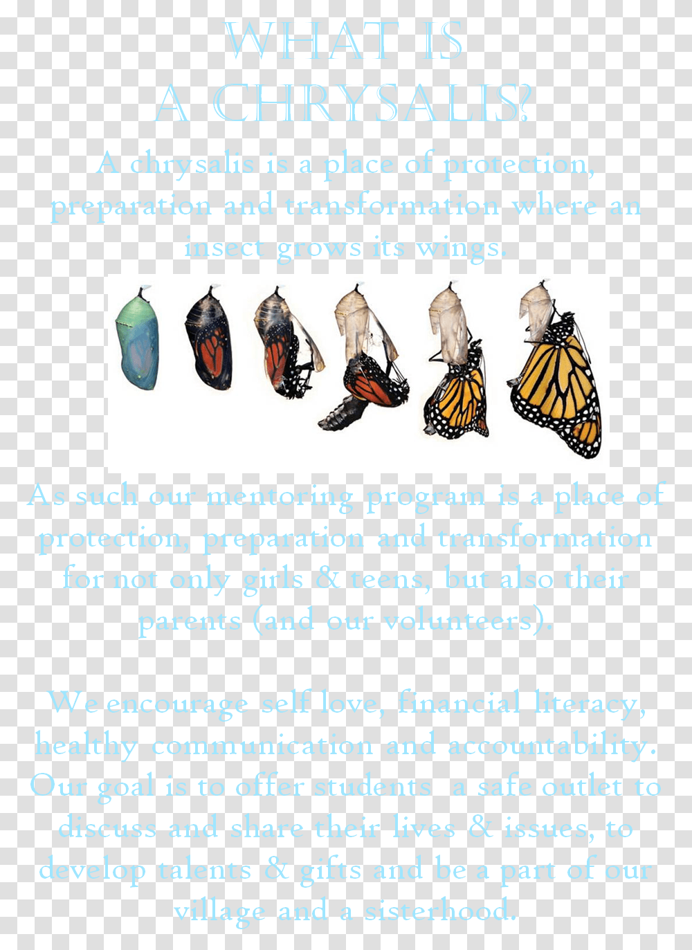 Poster, Advertisement, Flyer, Paper, Brochure Transparent Png