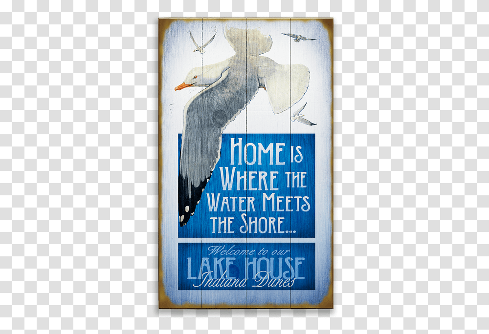 Poster, Advertisement, Animal, Bird Transparent Png