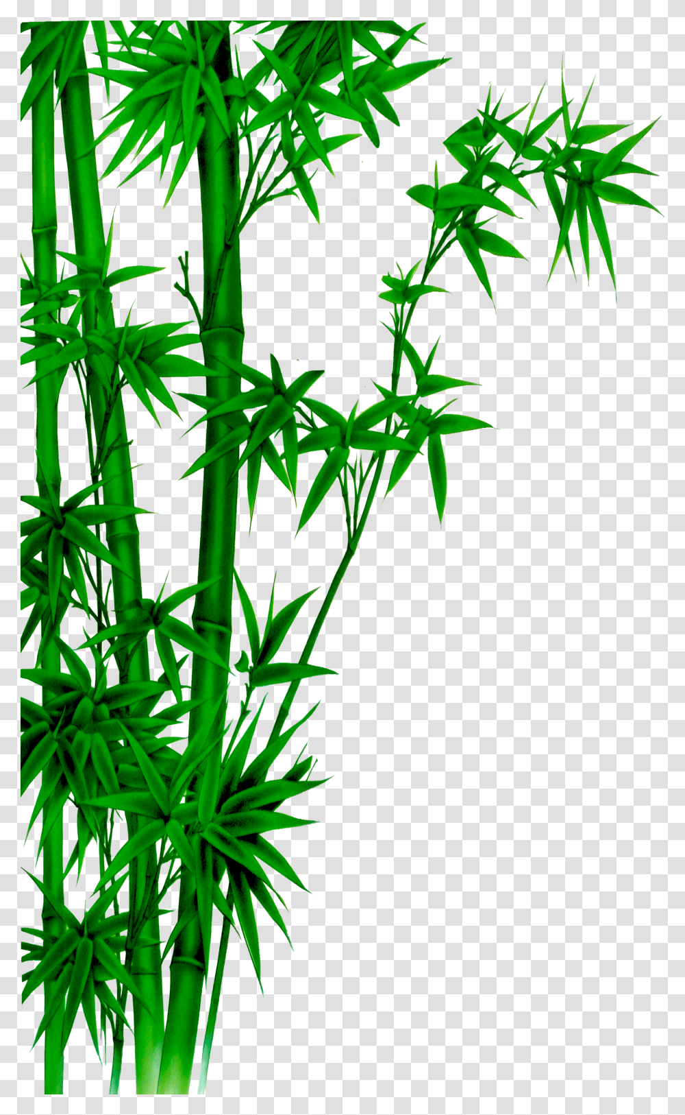 Poster Bamboo Wash Painting Ink Free Hq Image Clipart Bamboo Poster Transparent Png