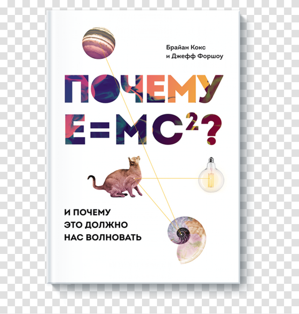 Poster E Mc2 Eto, Advertisement, Cat, Pet, Mammal Transparent Png