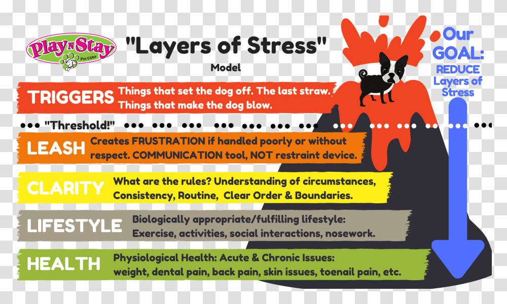 Poster, Flyer, Paper, Advertisement, Brochure Transparent Png