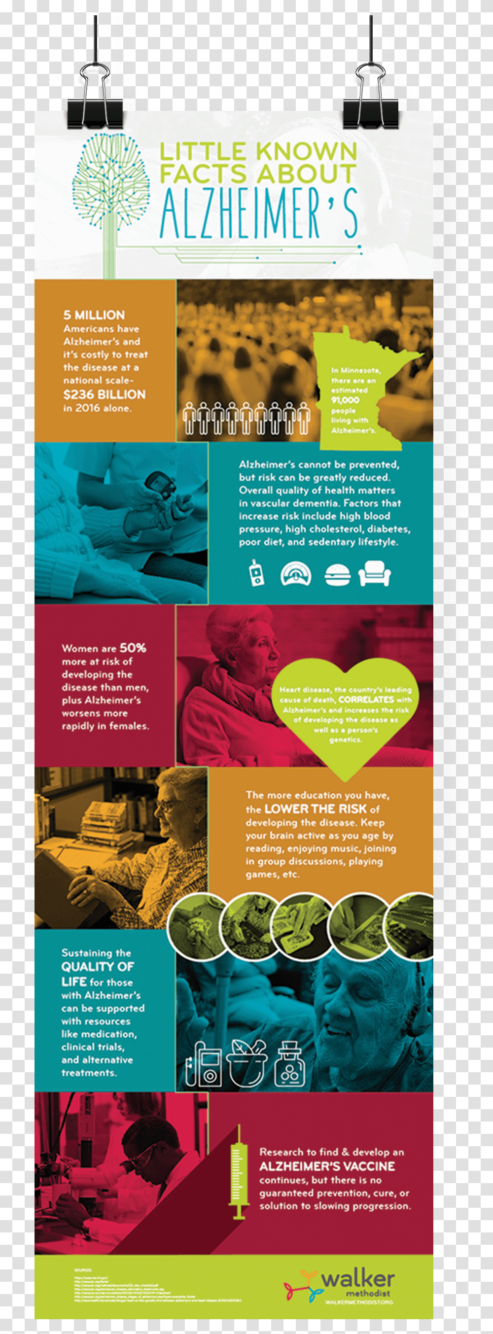 Poster, Flyer, Paper, Advertisement, Brochure Transparent Png