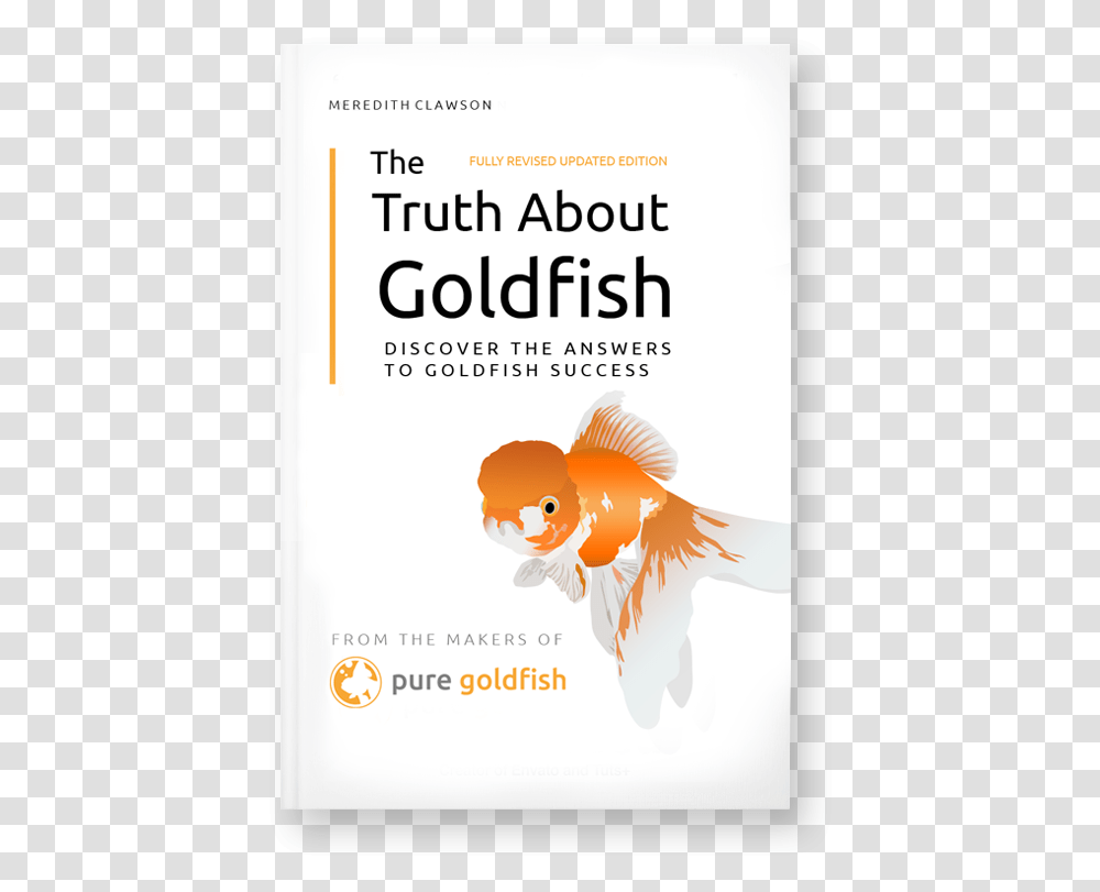 Poster, Goldfish, Animal, Advertisement Transparent Png