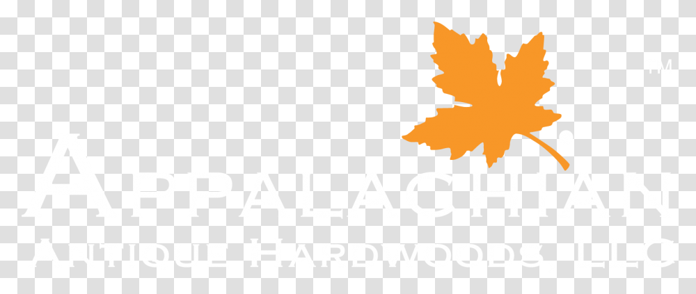 Poster, Leaf, Plant, Tree Transparent Png