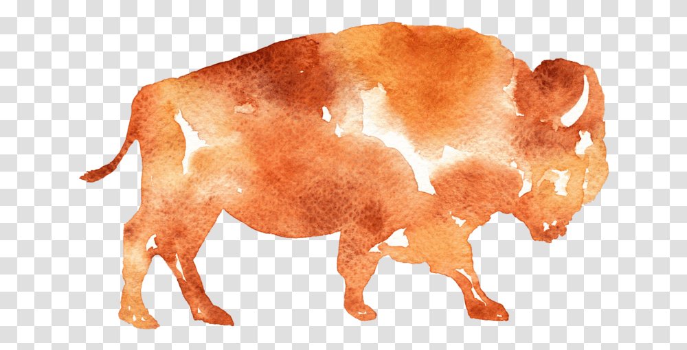 Poster, Mammal, Animal, Cattle, Pig Transparent Png