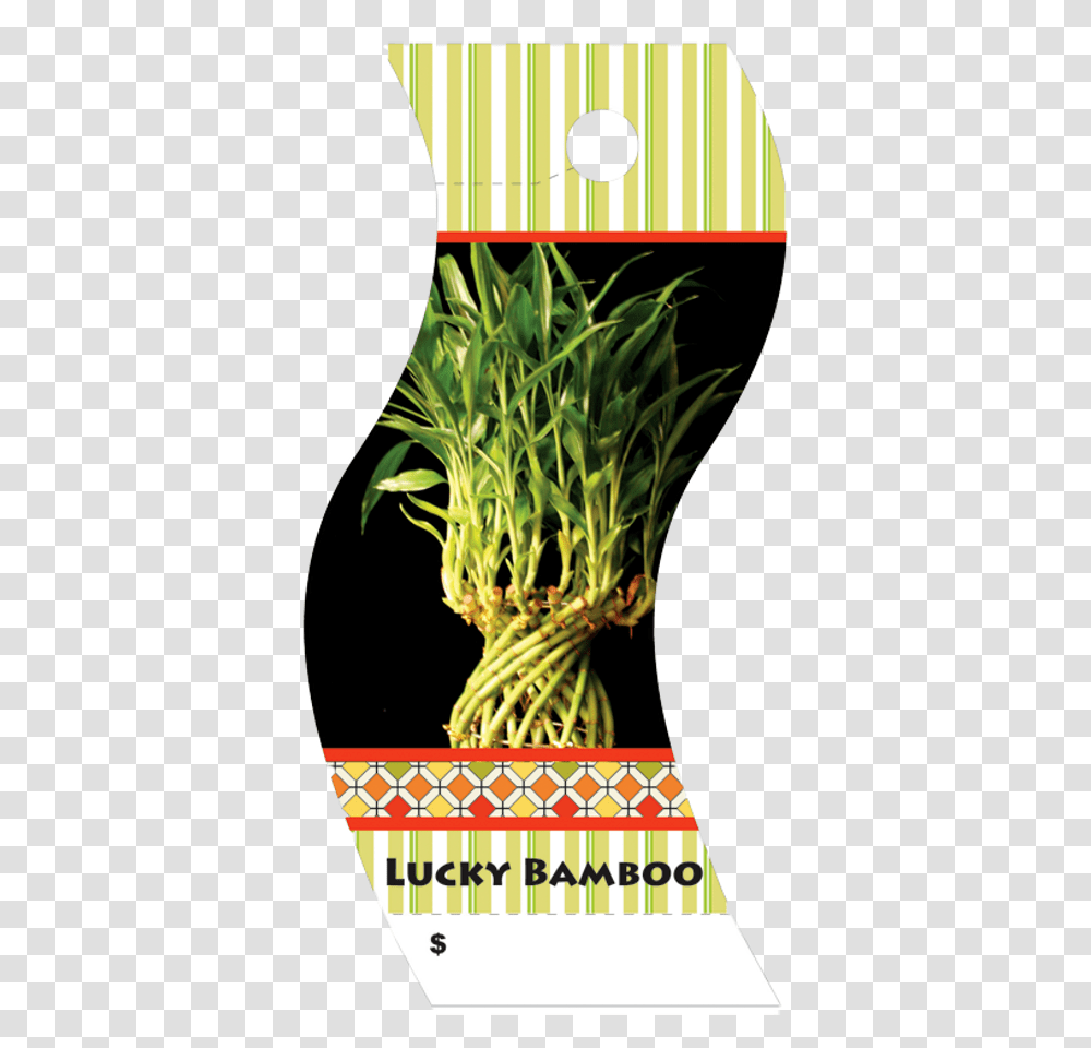 Poster, Plant, Produce, Food, Vegetable Transparent Png