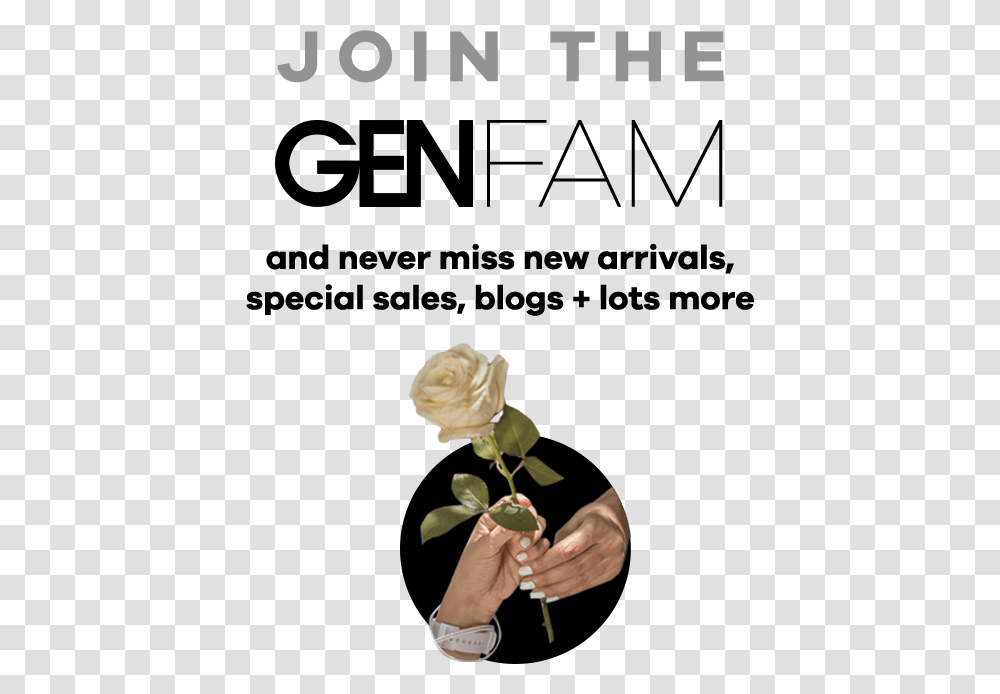 Poster, Plant, Rose, Flower, Person Transparent Png