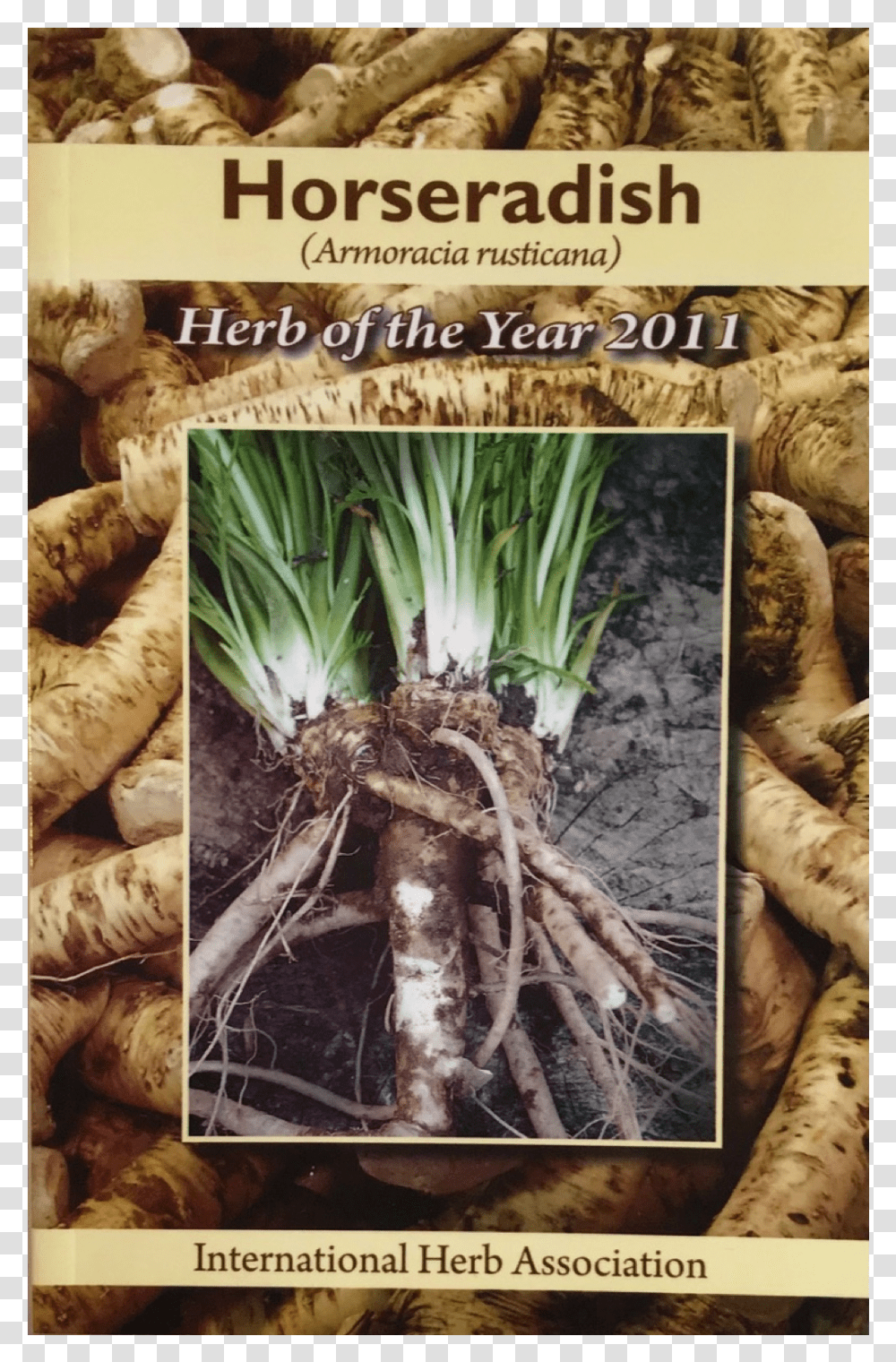 Poster, Produce, Food, Plant, Vegetable Transparent Png
