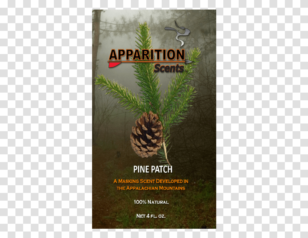 Poster, Tree, Plant, Conifer, Pineapple Transparent Png