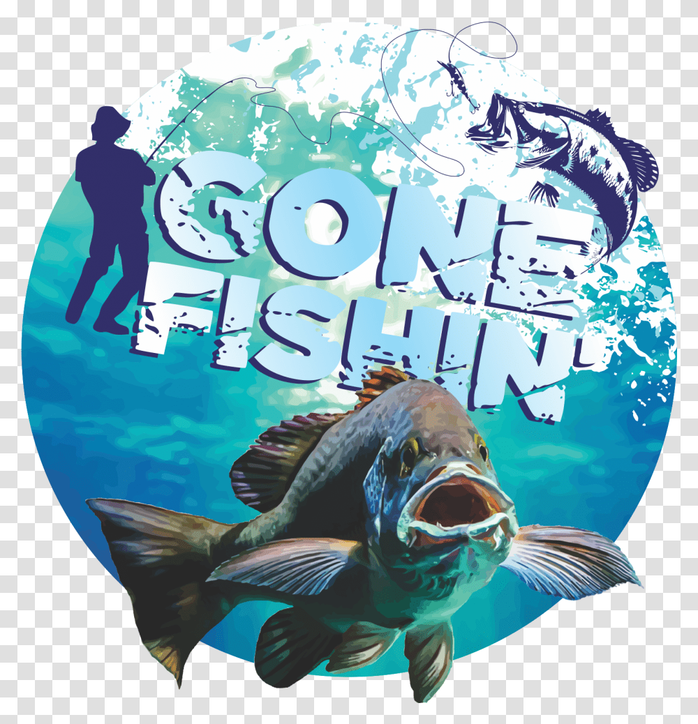 Poster, Water, Person, Fish, Animal Transparent Png