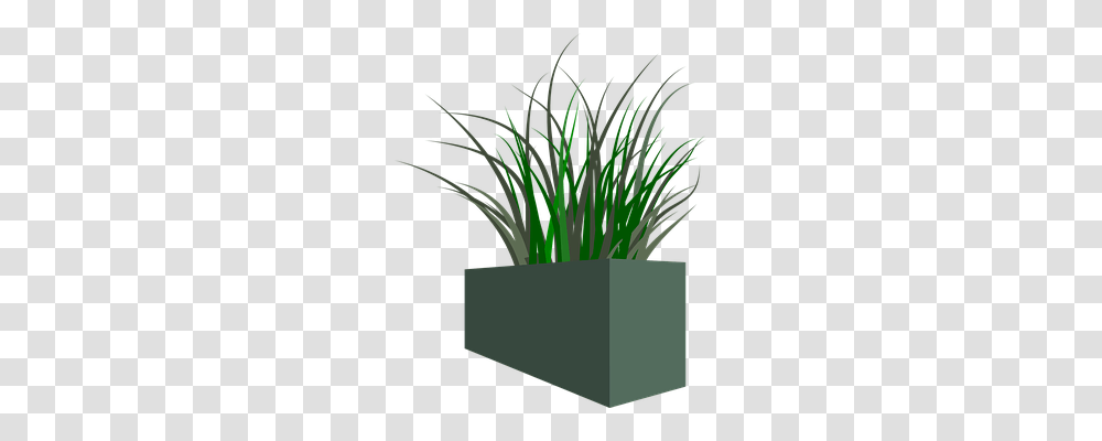 Pot Nature, Plant, Flower, Iris Transparent Png