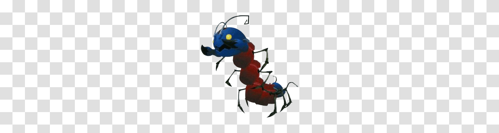 Pot Centipede, Insect, Invertebrate, Animal, Ant Transparent Png